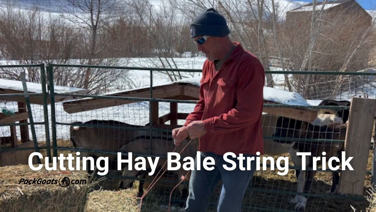 Cutting Hay Bale String Trick