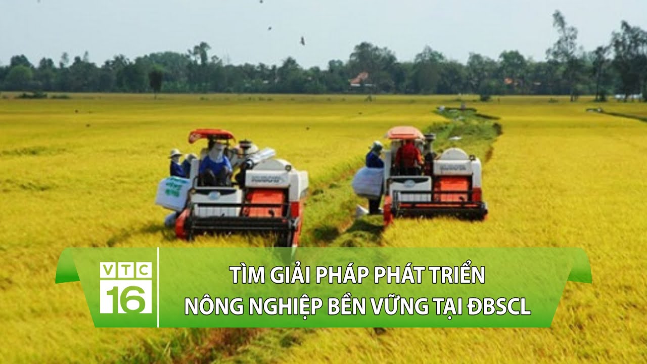 T&igrave;m giải ph&aacute;p ph&aacute;t triển n&ocirc;ng nghiệp bền vững tại ĐBSCL | VTC16