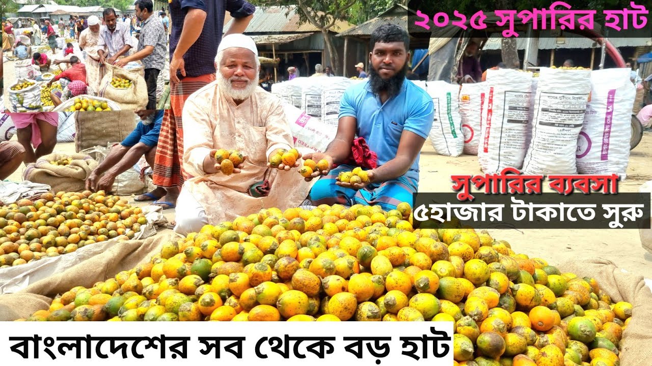 ৫হাজার টাকা দিয়ে সুপারির ব্যবসা শুরু||২০২৫ সালের সুপারির বর্তমান বাজার দর উত্তরবঙ্গের হাট