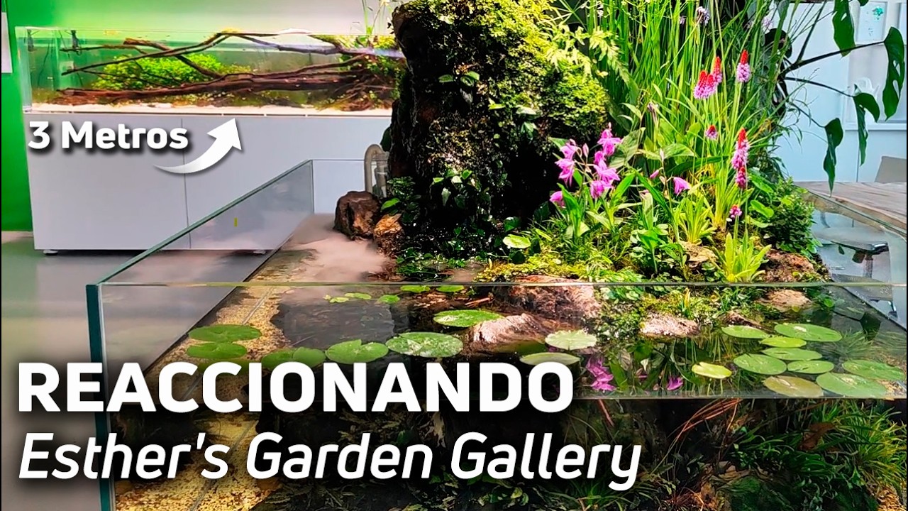 😲Cap N&ordm;46: El Para&iacute;so Acuarista Hecho Realidad 🌿 Espectacular 🐠