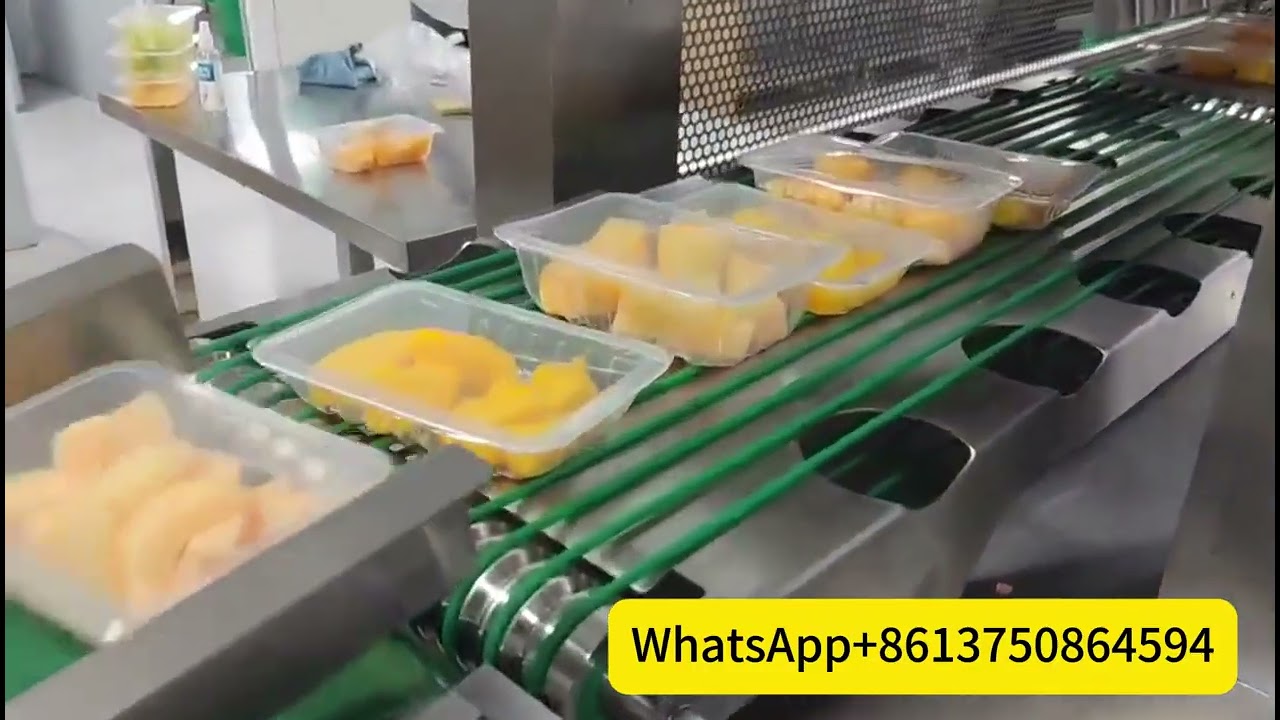 Fruit Modified Atmosphere Tray Packaging Machine vegetable MAP tray sealer