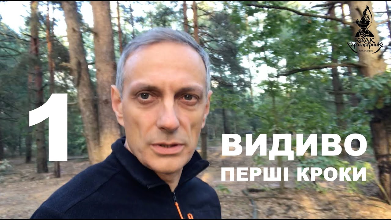 ВИДИВО 1 - перші кроки