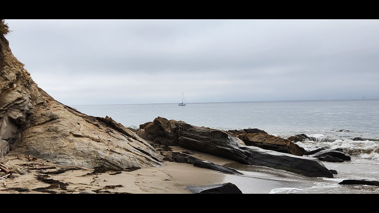 Gaviota Coast Mariposa Reina Pelican Migration