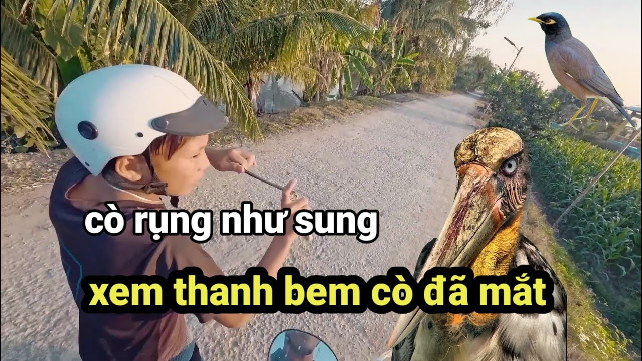 NVN vlog - tổng hợp Những pha hạ cò của thanh quá đẹp mắt