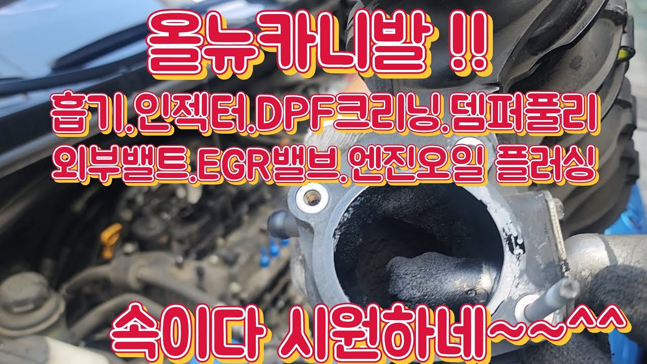 올뉴카니발 예방정비!! 속이다 시원합니다^^ #흡기크리닝 #dpf크리닝 #EGR밸브 등...