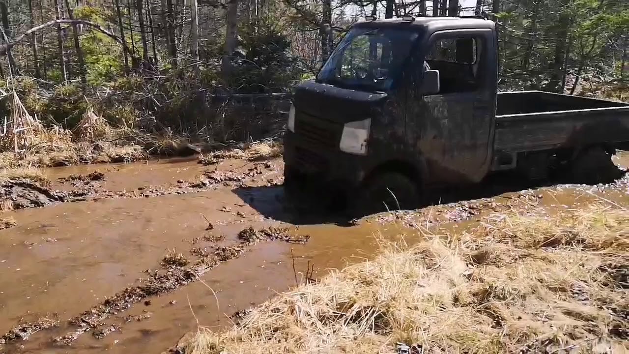 Suzuki Carry Mini Truck Offroad