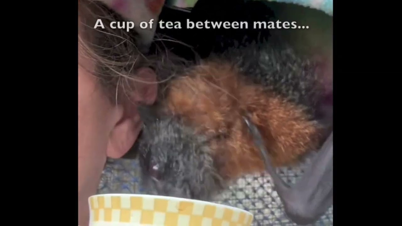 Poppy and Mandi share a quiet moment and a cup of tea