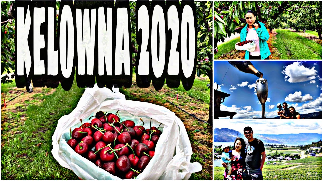 KELOWNA BC 2020|FAMILY ADVENTURE