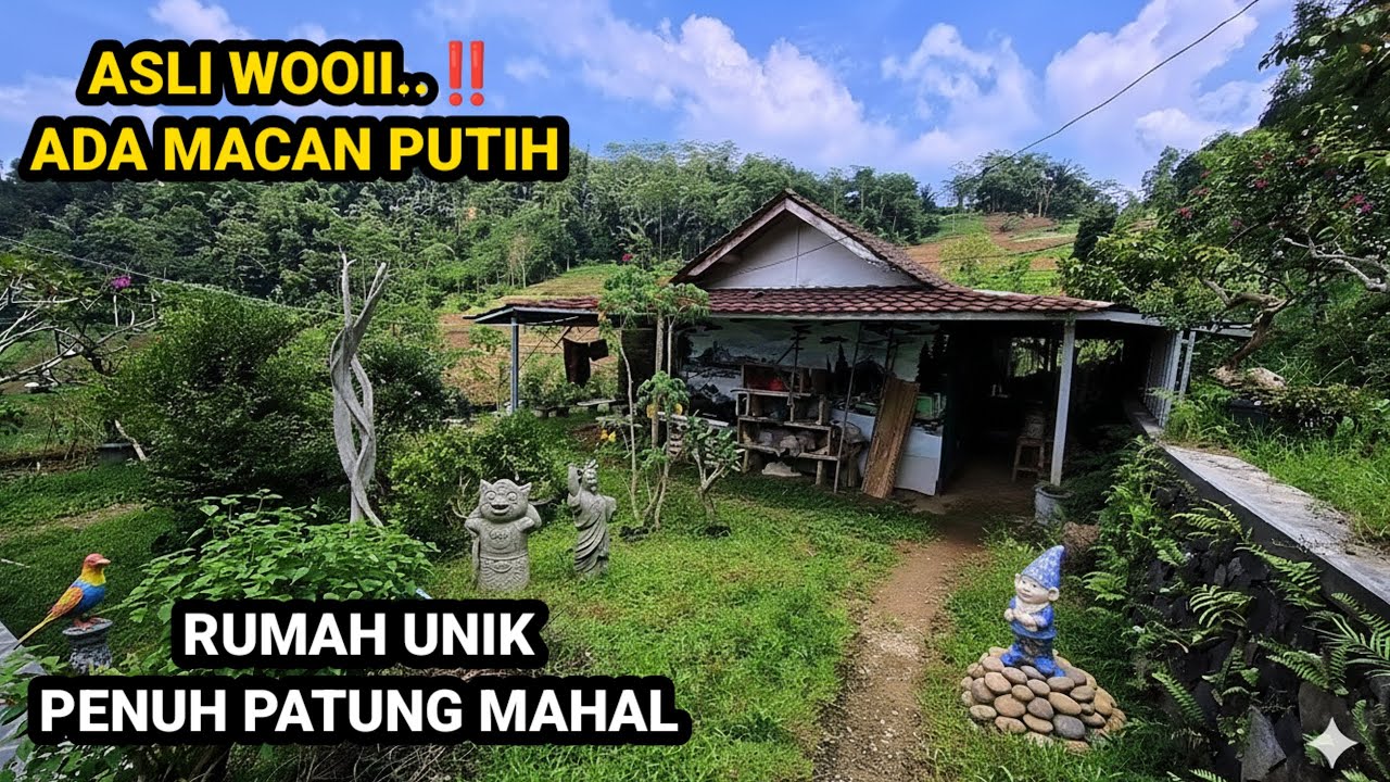 TERLALU KAYA KAKE INI BANGUN RUMAH PATUNG 30 TAHUN TINGGAL DI HUTAN TERPENCIL