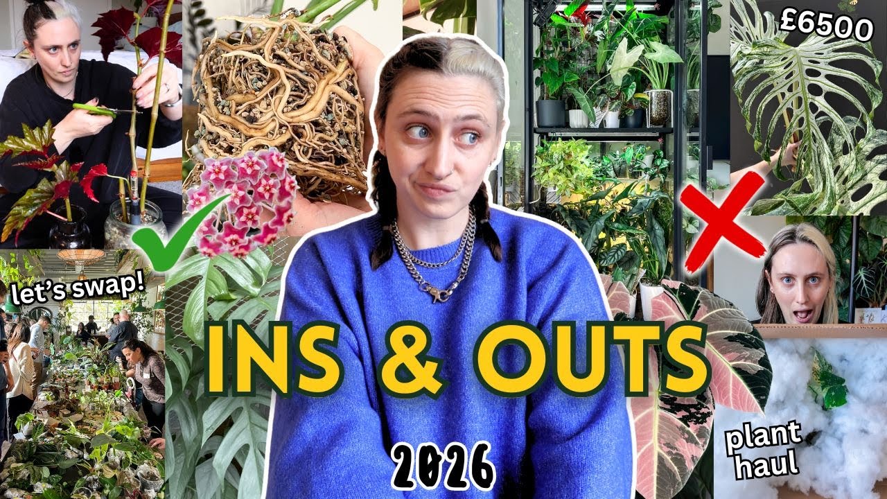 My Plant Collection INS & OUTS 🌿 What’s Staying & Going in 2026