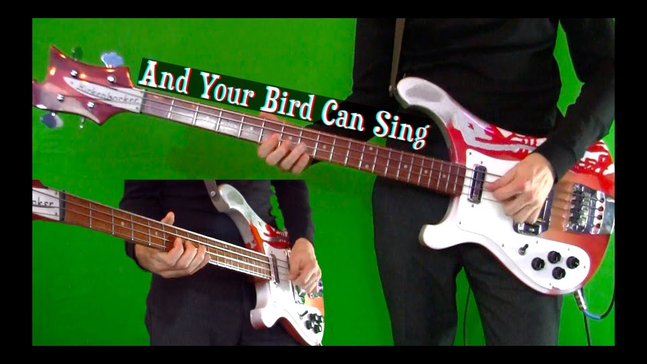 And Your Bird Can Sing - Bass Cover - Isolated