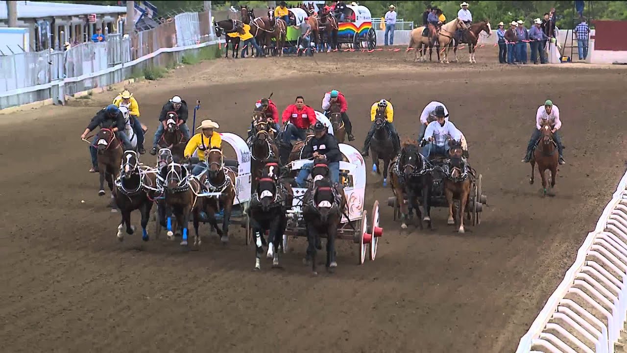 Day 3 action from the Calgary Stampede GMC Rangeland Derby, Top 3 heats of the night-- July 6, 2014