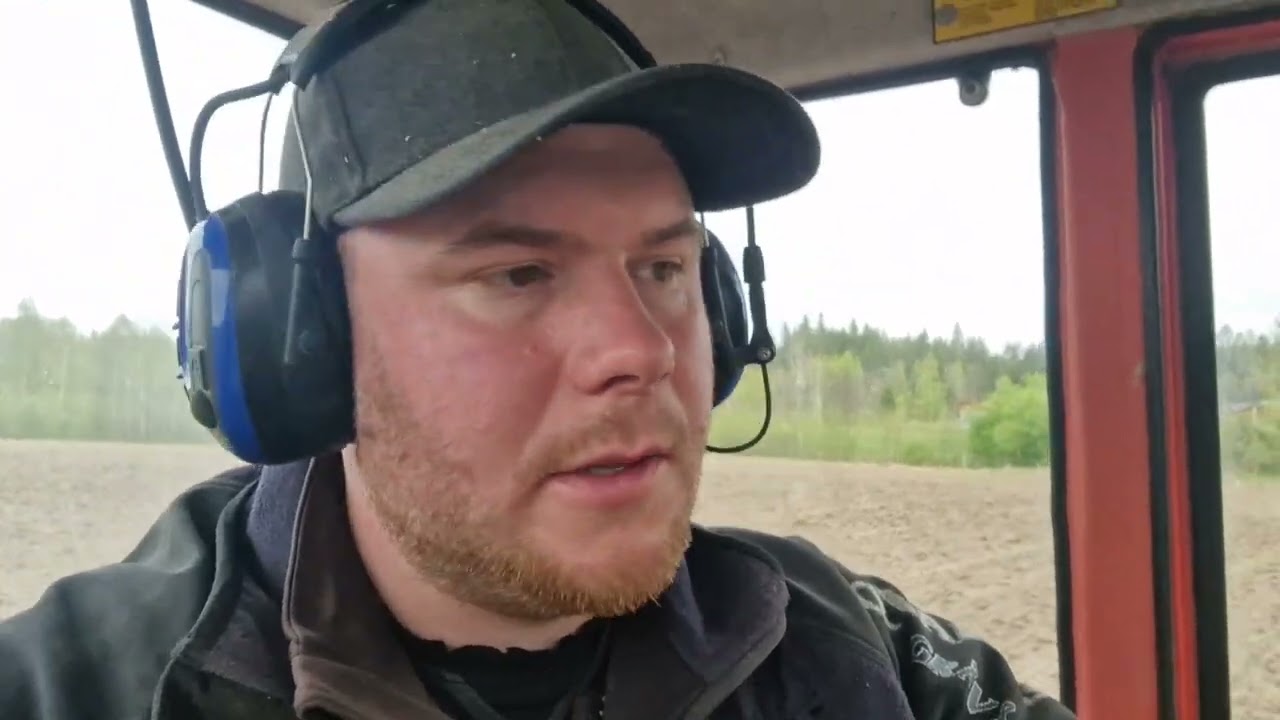 Sår korn och vältar