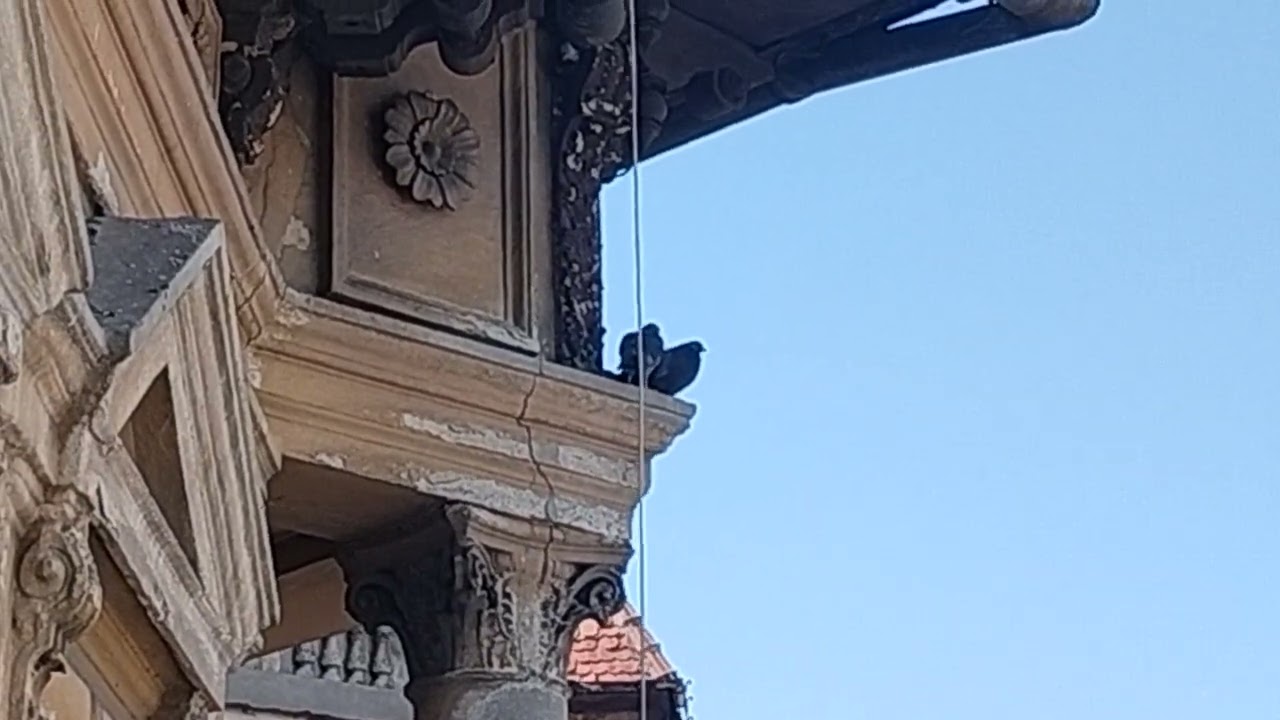 Undeva &icirc;n București, zona Popa Tatu 
