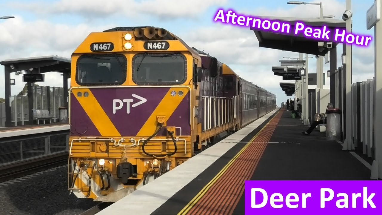 Trains at the new Deer Park Station during Peak Hour - Melbourne Transport
