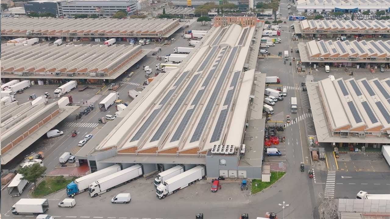 Más y más conectados | Mercabarna, más y más 2024