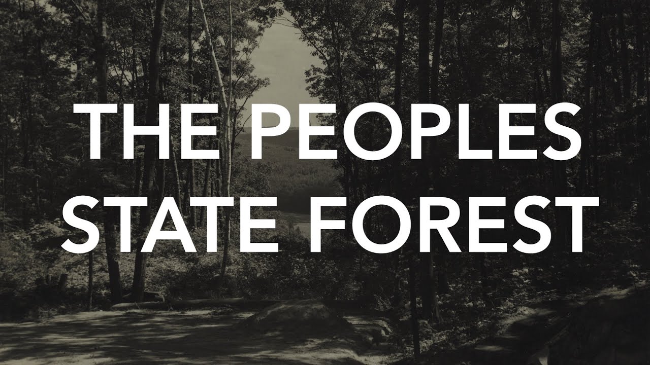 The Peoples State Forest