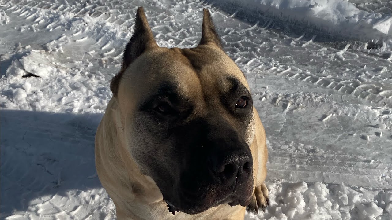 3rd day of Snow,finally outside