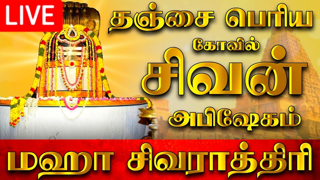 🔴LIVE தஞ்சாவூர் மஹா சிவராத்திரி அபிஷேக காட்சி பாருங்க! | Thanjavur Maha Shivaratri live 2024