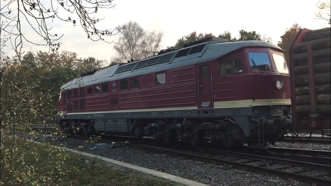 Erfurter Bahnservice 132 334-4 mit schwerem Holzzug