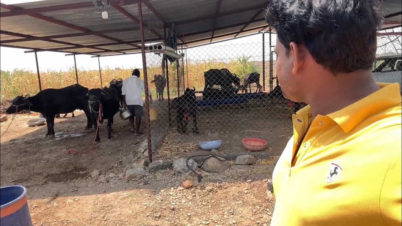 बायकोचा बैल हाय आबा बायकोच्या तालावर नाटक करून माझ्या रानात म्हशी बांधल्यात 😭#गावठीनिलेशपुनम 