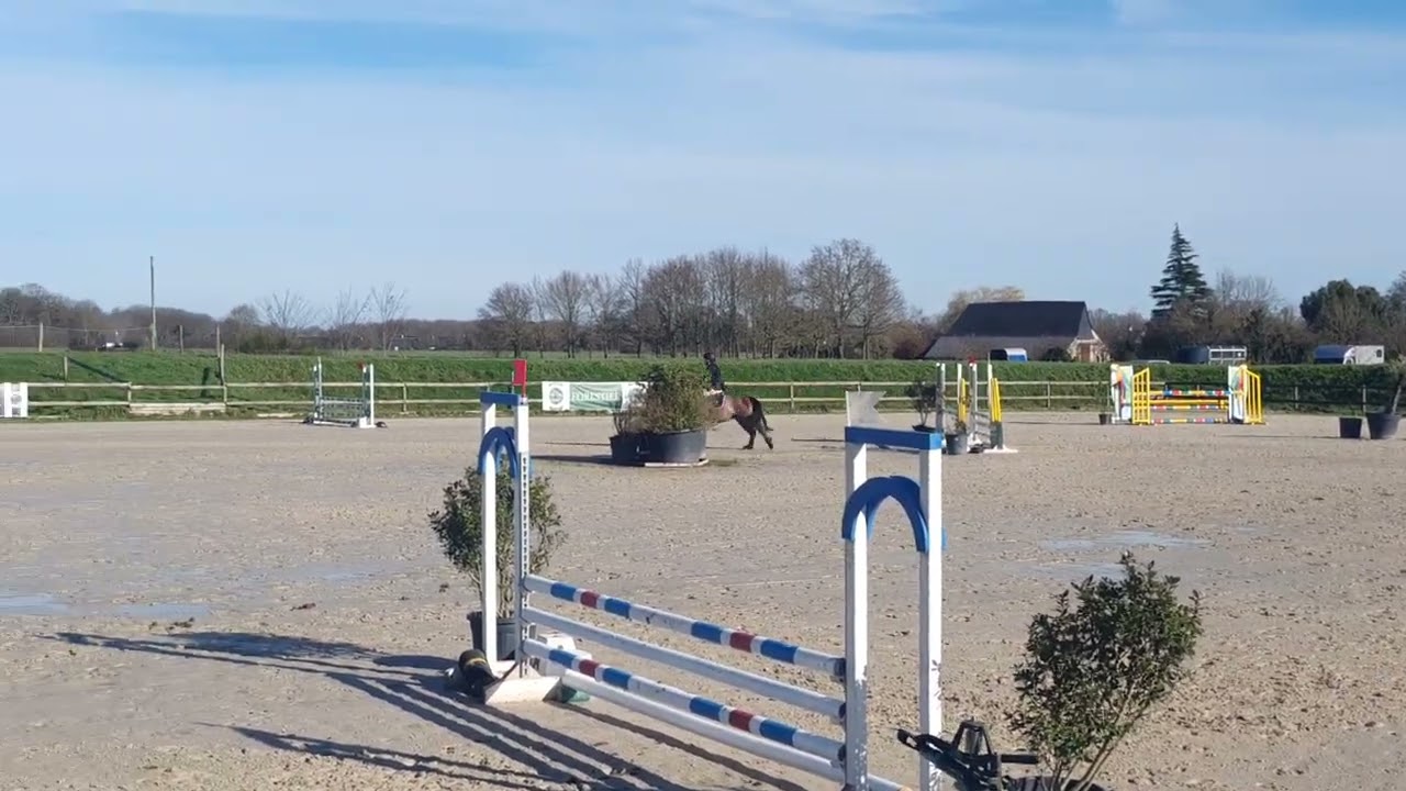 Thaïs et Isidor P2 planète poney 8 février 2026