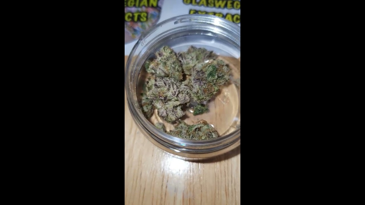 @glaswegianextracts cali bang bang zerbert and canna caps weed review
