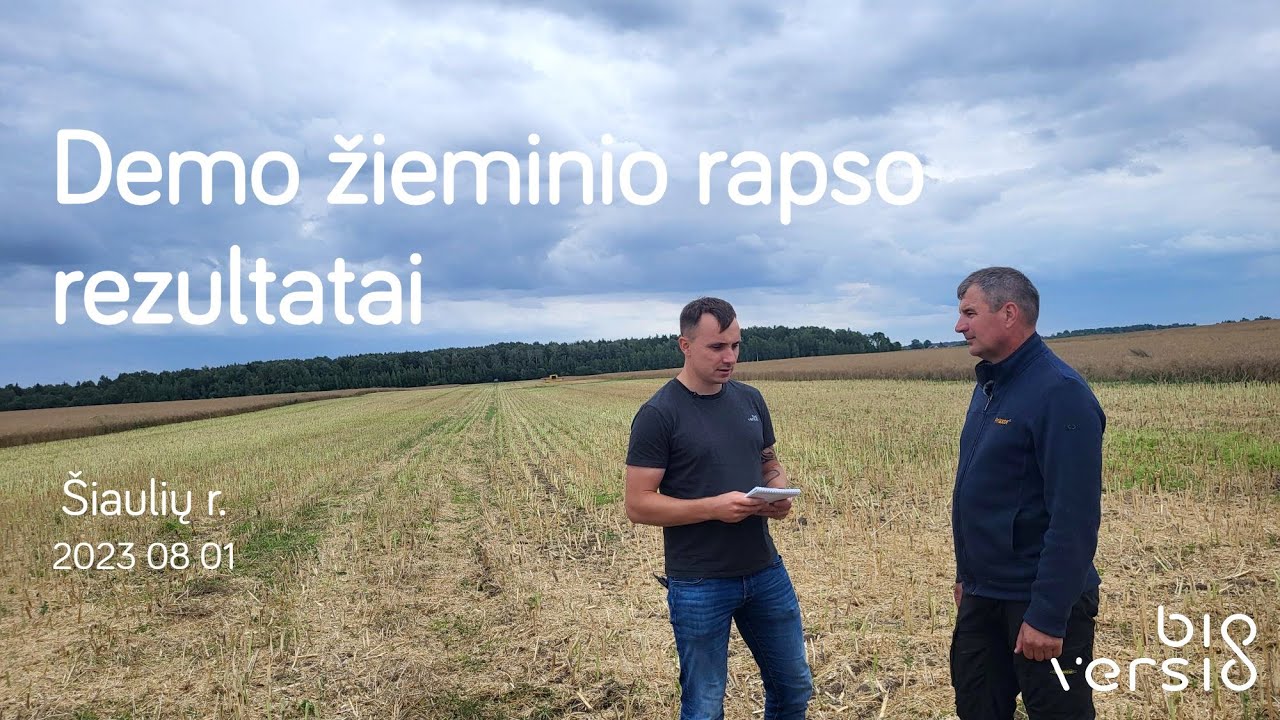 &bdquo;Bioversio&ldquo; demo žieminio rapso rezultatai - derliaus nuėmimas // &Scaron;iaulių r. // 2023 08 01