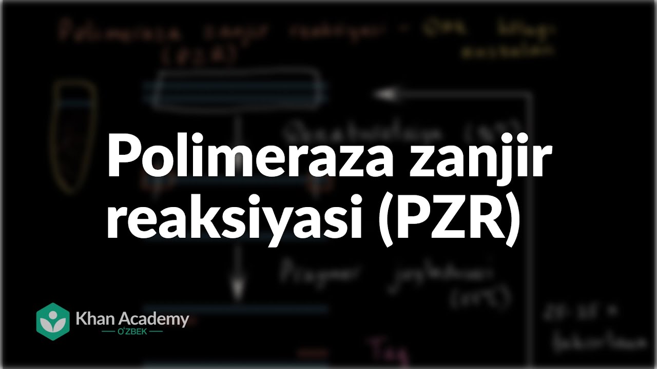 Polimeraza zanjir reaksiyasi (PZR) | Biotexnologiya | Biologiya