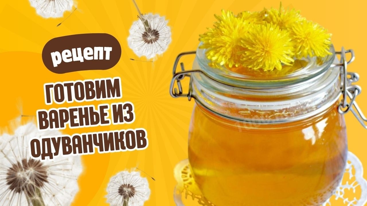 ГОТОВИМ ВАРЕНЬЕ ИЗ ОДУВАНЧИКОВ! Как это сделать правильно? Пошаговая инструкция @ZvezdnayaDacha
