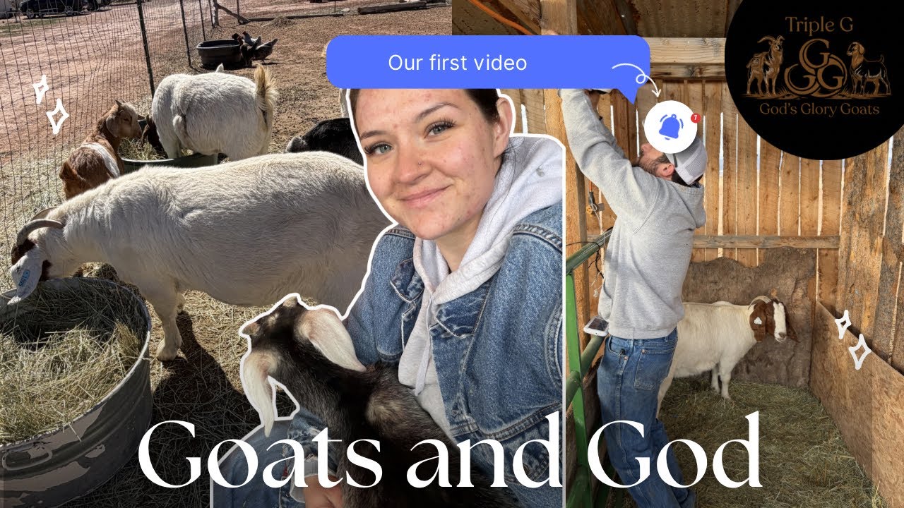 Meet Our Goats & Our Little Farm | Welcome to Triple G