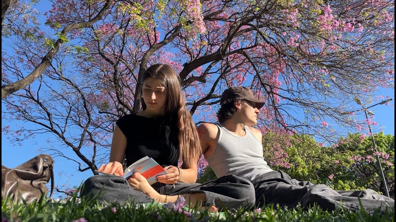 noviando en la gran ciudad ＊✿❀め❀✿＊