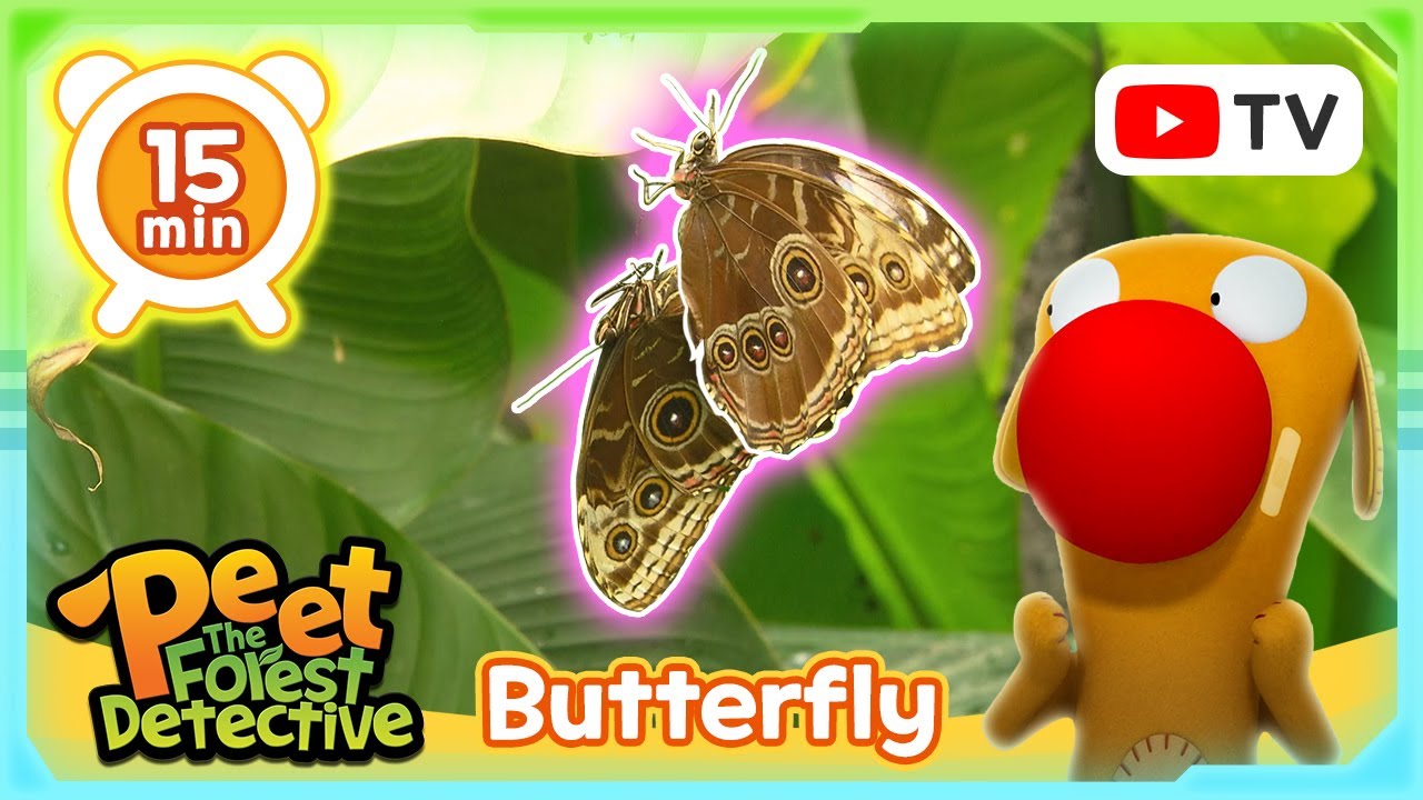 Epic Butterfly Trail 🦋🏞️ | Nature Stories For Kids | Peet The Forest Detective