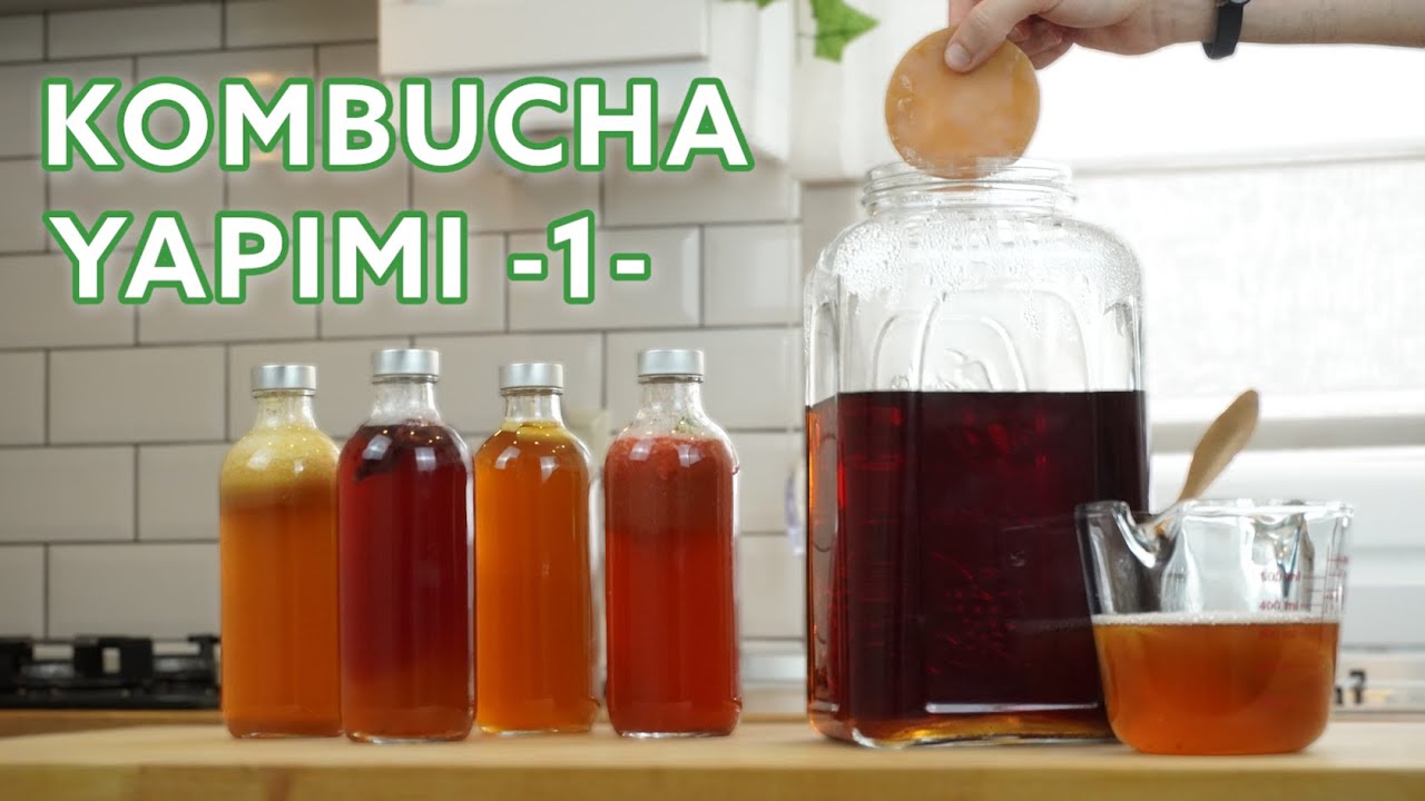 Evde kombucha yapımı hakkında her şey - Bölüm 1 - Birinci fermantasyon