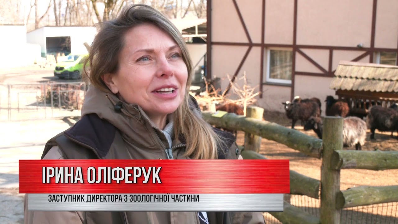 Як працює Рівненський зоопарк в умовах воєнного стану?
