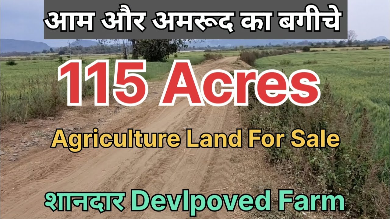 Agriculture Land For Sale|115 Acres|Part 1 |कृषि भूमि|जमीन बिकाऊ है| #agriculture #kheti #farming