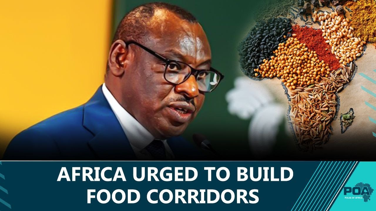 Pulse of Africa (POA) &ndash; Live Daily News