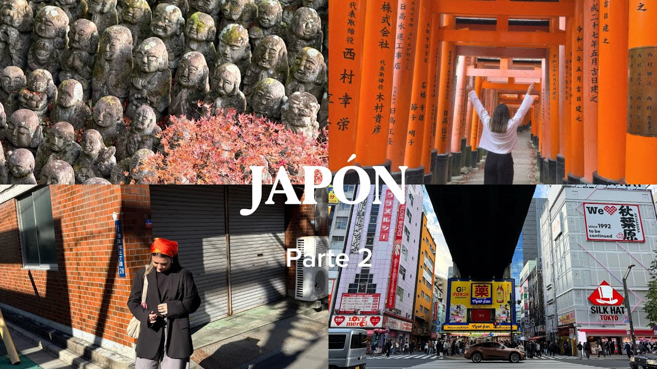 Nos vamos a Japón Parte 2!! Kioto y Tokio 🏯✈️🇯🇵