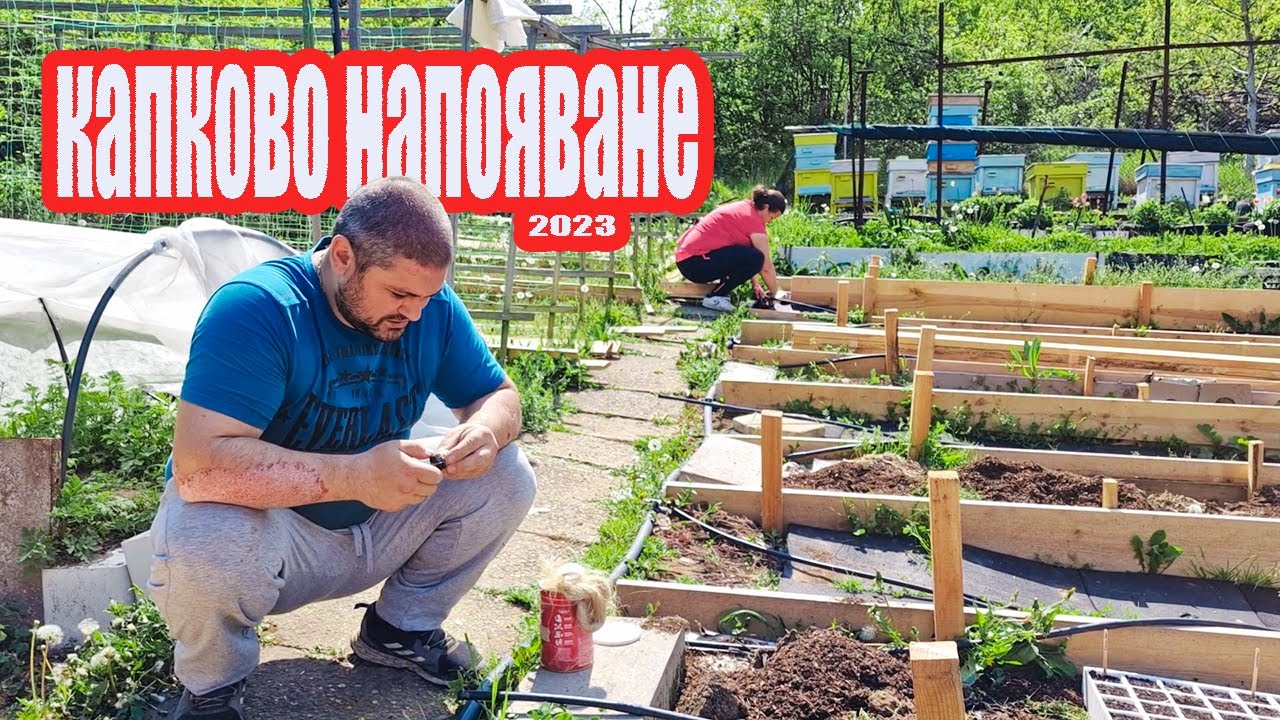 Живот на село: подобрения на капковото напояване + външна чешма