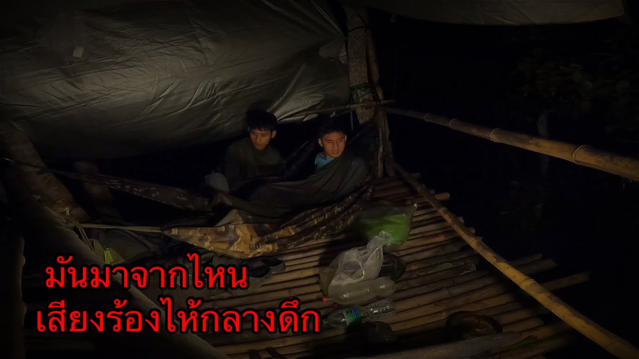 เสียงจากธรรมชาติหรือเสียงอะไรกันแน่