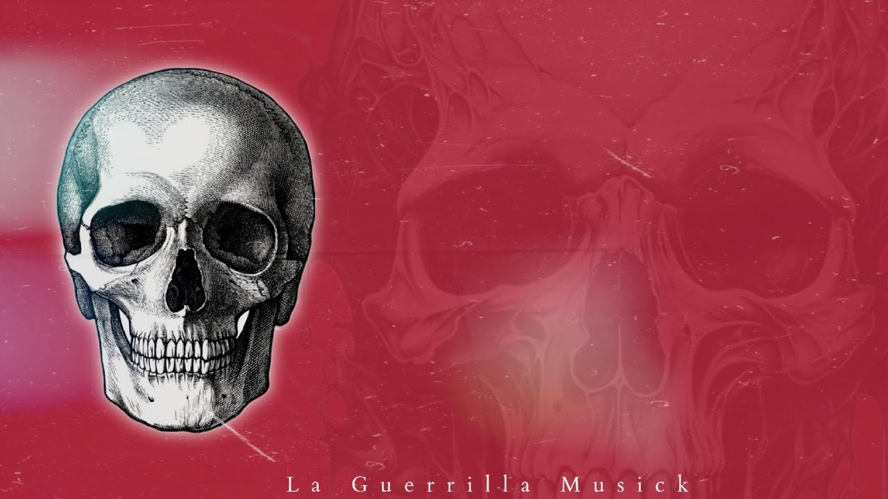 Solo | La Guerrilla Musick 2024