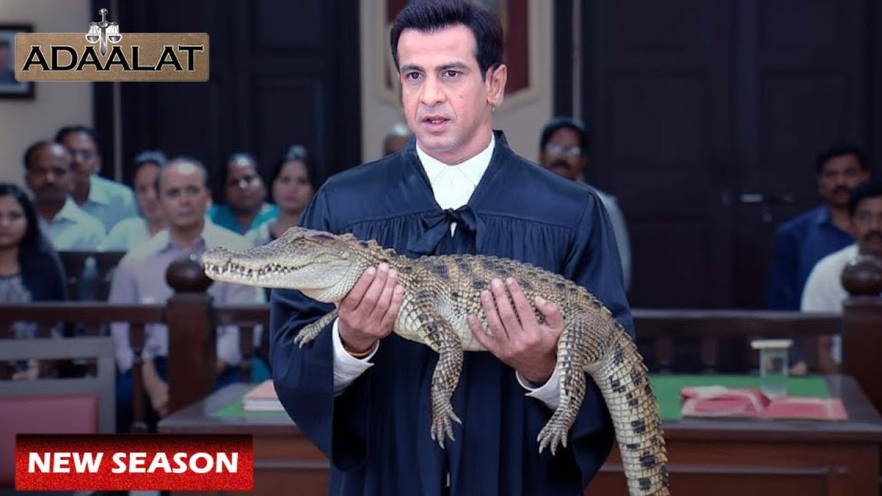 एक खतरनाक मगरमच्छ को KD Pathak ने Courtroom में क्यों लाया? | Adalat Latest Episodes