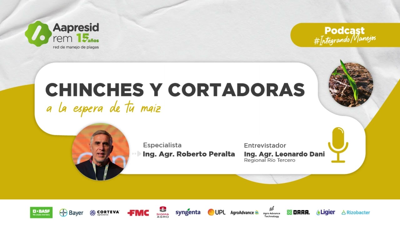 Chiches y cortadoras a la espera de tu maíz