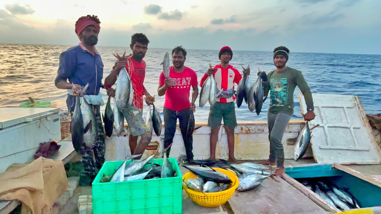 First Day Golden Day 💢❗ We Caught Lot of Tune Fishes in Deep Sea Fishing