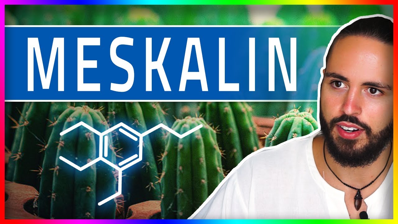 Meskalin (San Pedro/Peyote) - Risiken, Substanzinfo, Legalit&auml;t