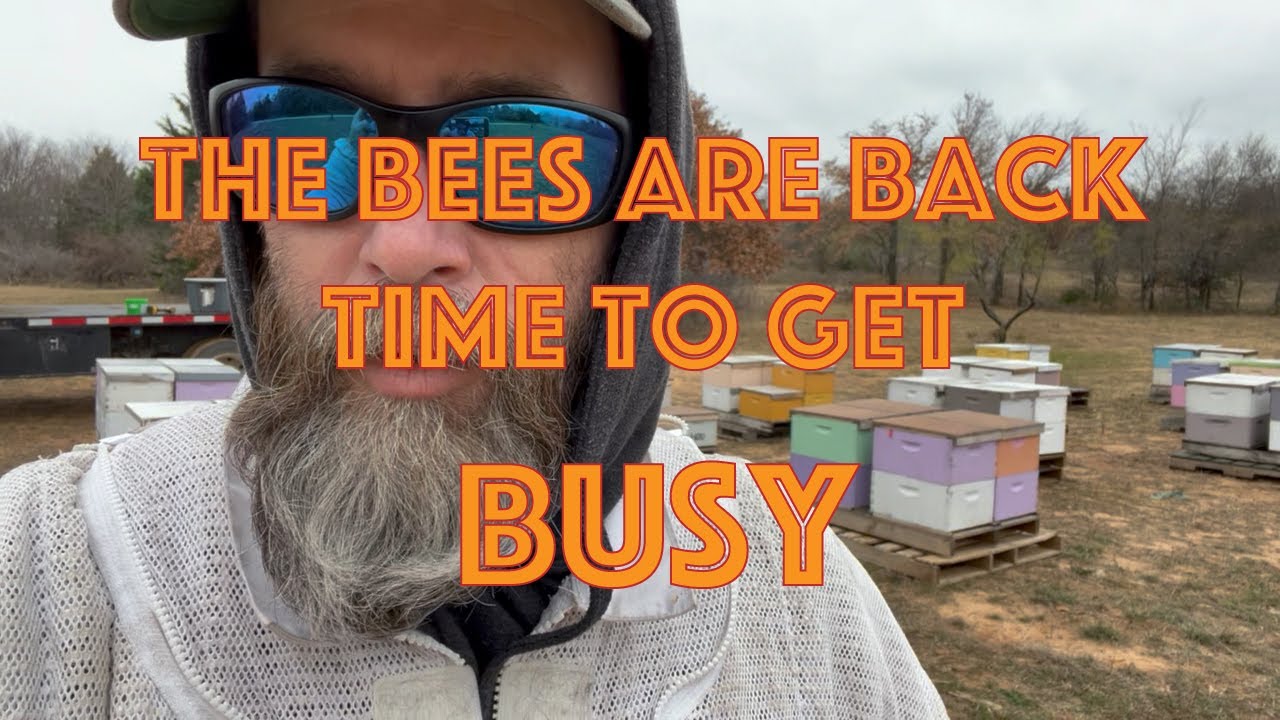 The Bees are Back! Mostly! Winter Solstice Passes Game on for Commercial Beekeeping. Ready Set Go!
