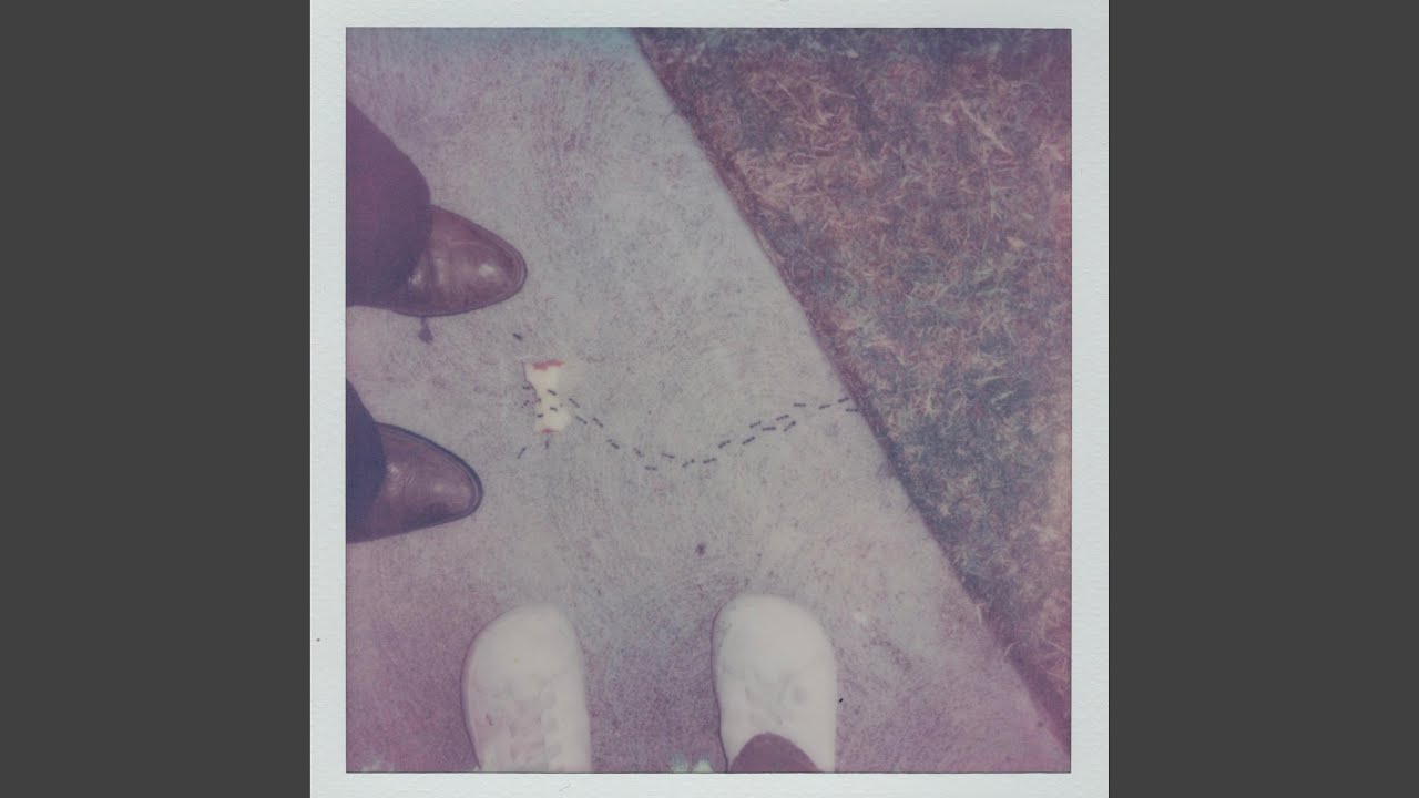 staring at ants