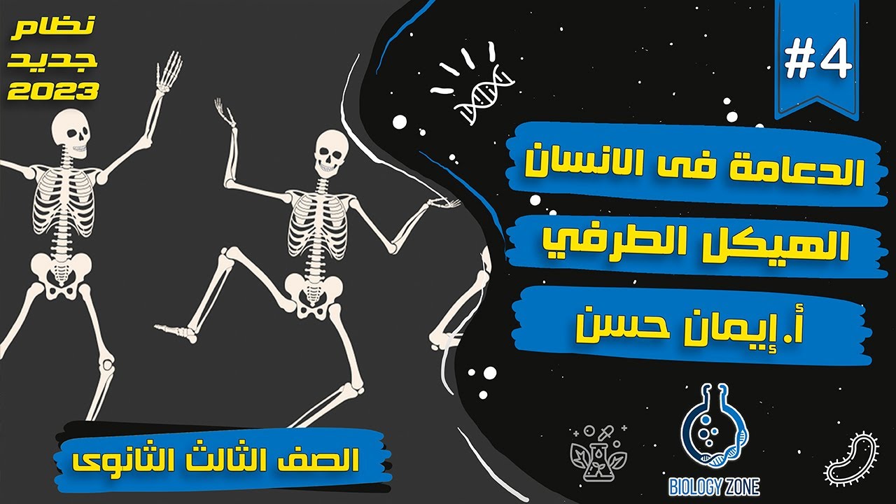 #4 | شرح الهيكل الطرفي ( شرح الدعامة فى الانسان ) | احياء تالته ثانوى 2023 | إيمان حسن