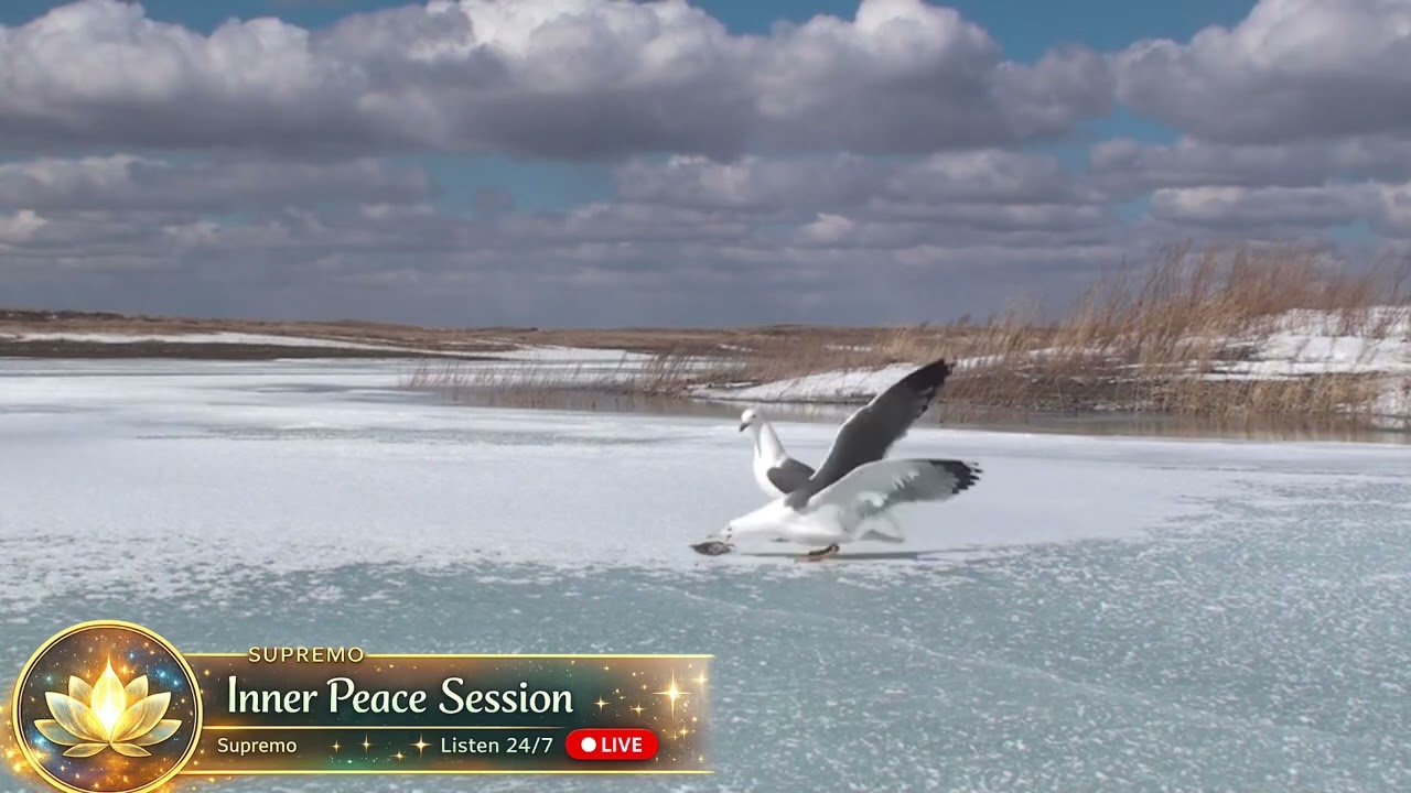 Inner Peace Session | Deep Healing Meditation & Nature Sounds (24/7 Live)