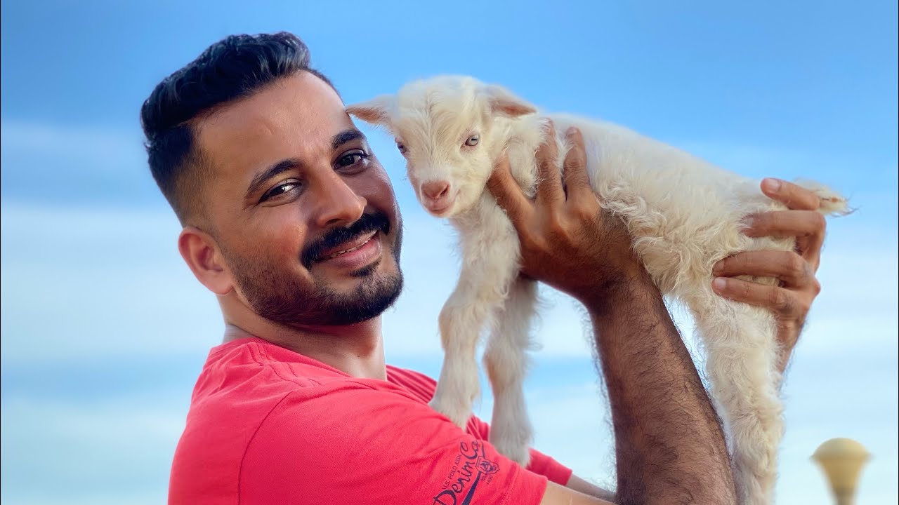 പെറ്റ്സ്റ്റേഷനിലെ ചൈനക്കാരി പ്രസവിച്ചൂട്ടാ... Zing goat delivered baby girl 🥰